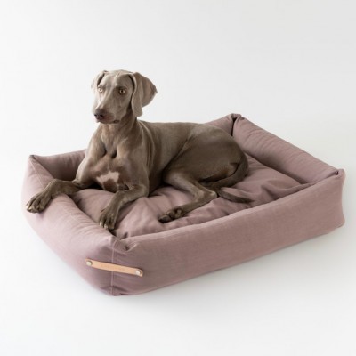 A dog lying on a bed