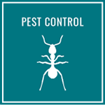 View Pest Control Vendor Listings on Home Club ME