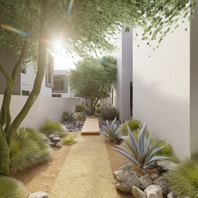 A sustainable garden in Dubai made by Wilden